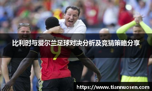 比利时与爱尔兰足球对决分析及竞猜策略分享