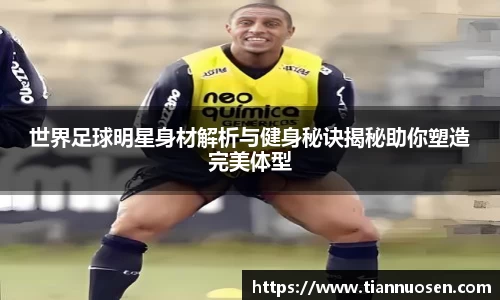 N江南.体育