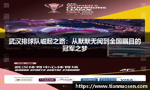 武汉排球队崛起之路：从默默无闻到全国瞩目的冠军之梦